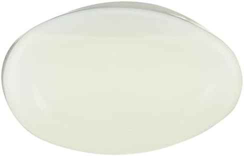 365 by Whole Foods Market Toilet Bowl Cleaner 24 Fl Oz
