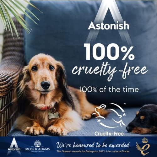 Astonish Foaming Toilet Bowl Cleaner Tablets - Box of 8 Pink Peony Scent