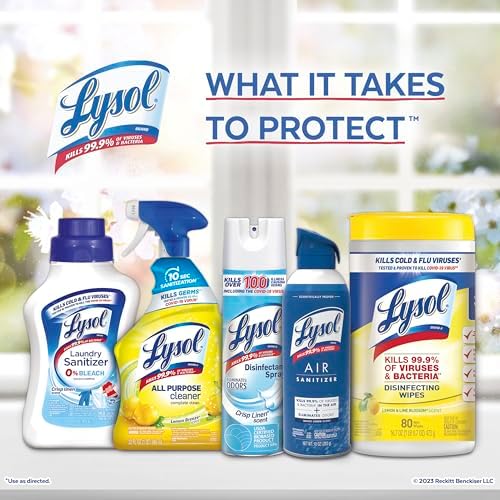 Lysol Toilet Bowl Cleaner Gel 24oz Pack of 2 1